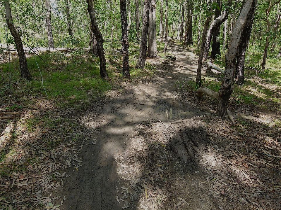 P1160345.jpg